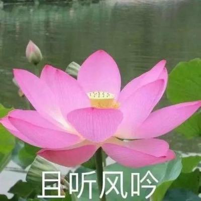1688彩票官网app